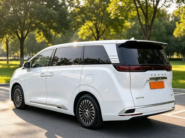 Denza D9 — Фото автомобиля 4