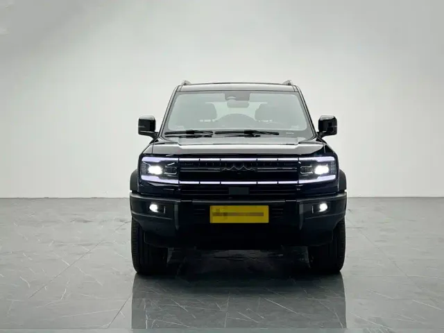 BYD FangChengBao Leopard 5 — Фото автомобиля 2