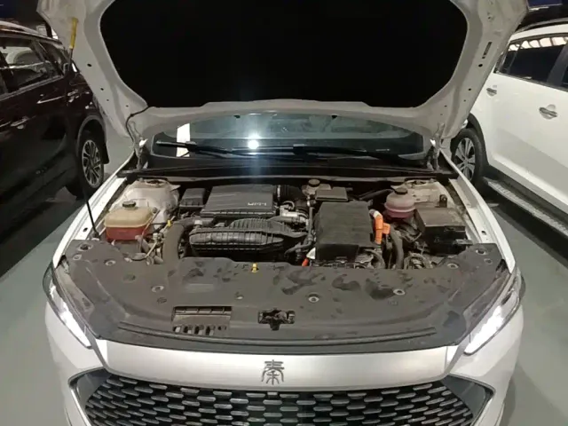 BYD Qin PLUS 2023 Champion Edition DM-i 55KM Leading — Фото автомобиля 19