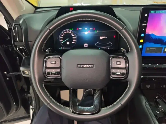 Haval Big Dog — Фото автомобиля 10