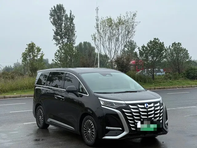 Denza Denza D9 2024 DM-i 980 AWD Flagship — Фото автомобиля 3