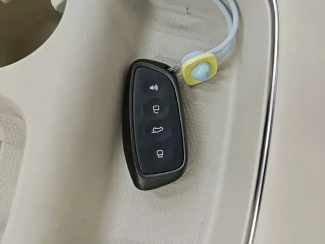 Haval Xiaolong MAX — Фото автомобиля 8