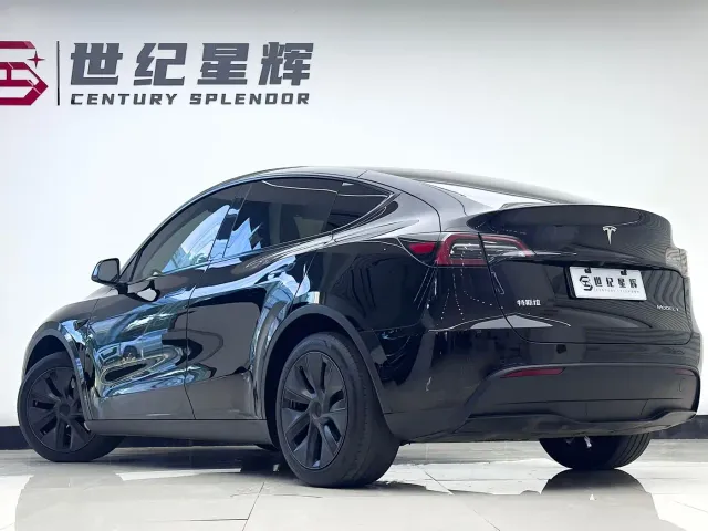Tesla Model Y — Фото автомобиля 10