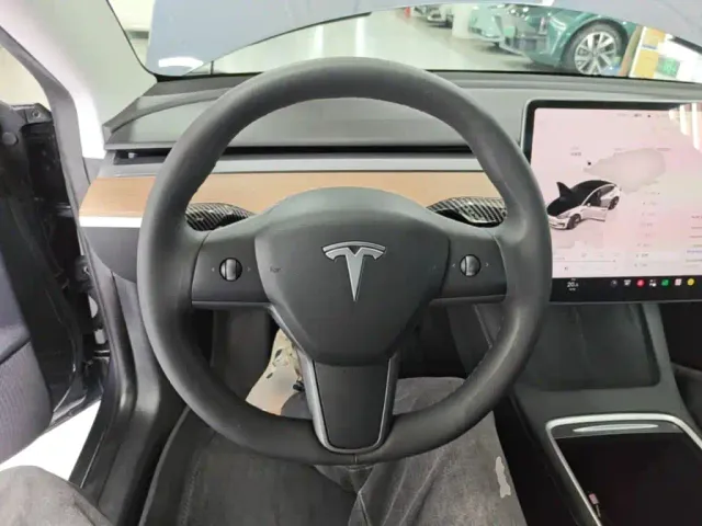 Tesla Model 3 — Фото автомобиля 10