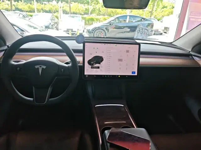 Tesla Model Y — Фото автомобиля 9