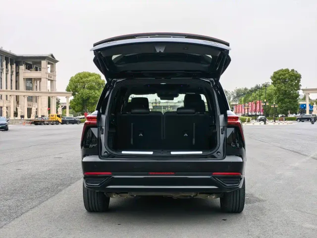 Wey Lanshan — Фото автомобиля 7