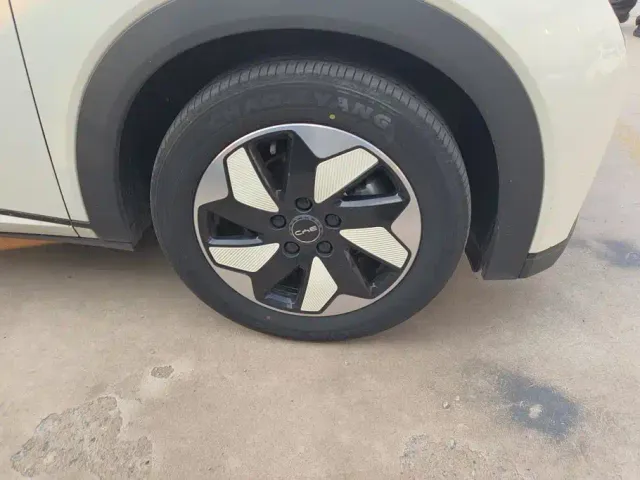 BYD Dolphin — Фото автомобиля 6