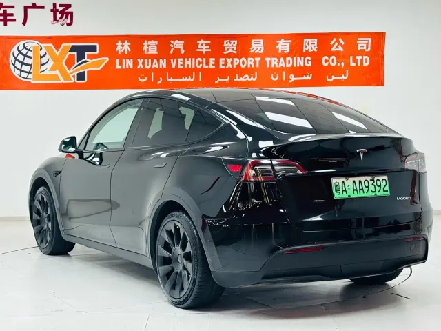 Tesla Model Y — Фото автомобиля 13