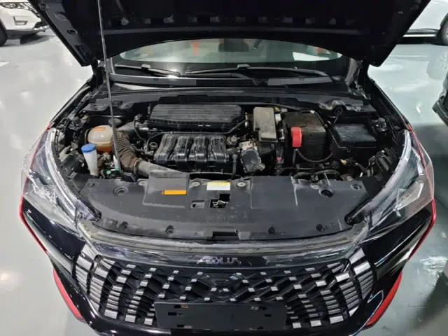 Dongfeng Yixuan GS — Фото автомобиля 19