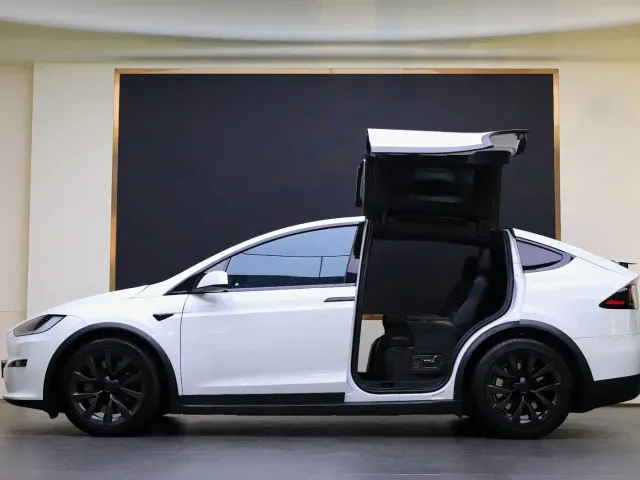 Tesla Model X — Фото автомобиля 17