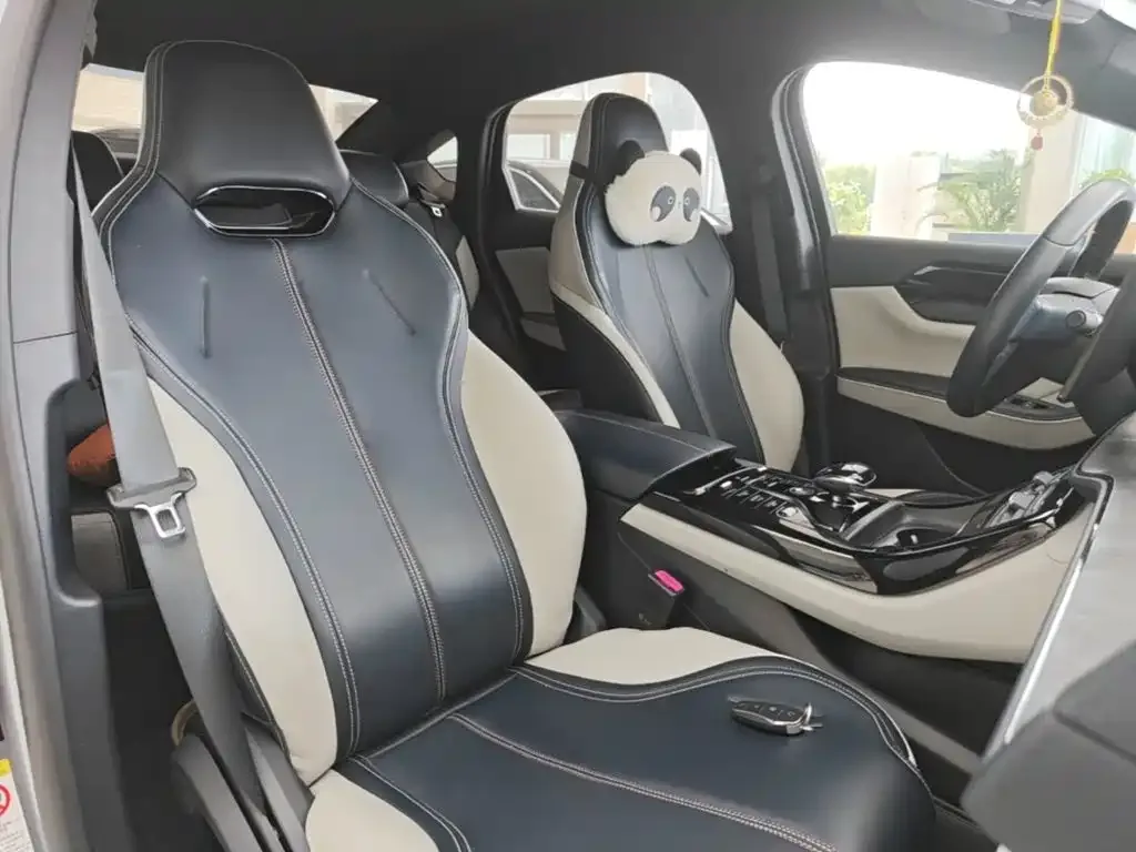 BYD Qin PLUS 2021 DM-i 55KM Premium — Фото автомобиля 24