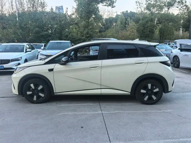 BYD Dolphin — Фото автомобиля 3