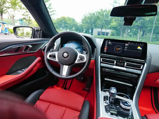 BMW 8 Series — Фото автомобиля 11