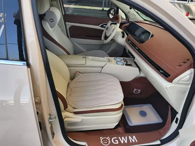 Ora Good Cat — Фото автомобиля 8