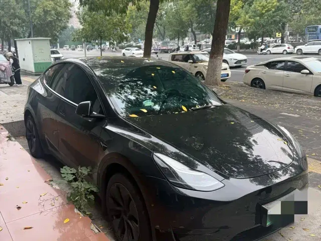 Tesla Model Y — Фото автомобиля 2