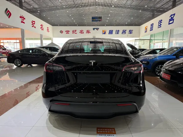 Tesla Model Y — Фото автомобиля 16