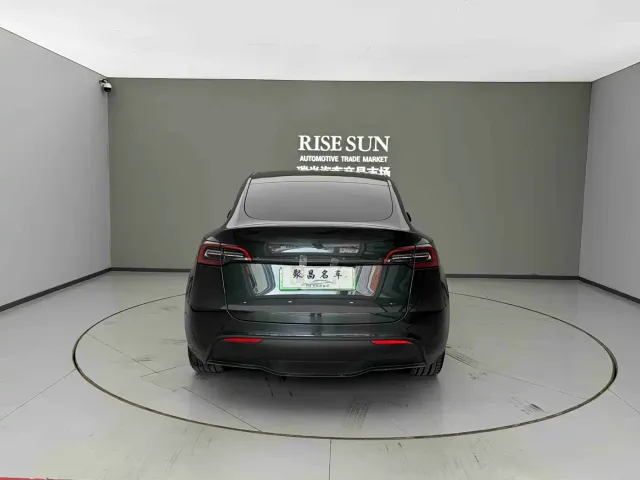 Tesla Model Y — Фото автомобиля 12