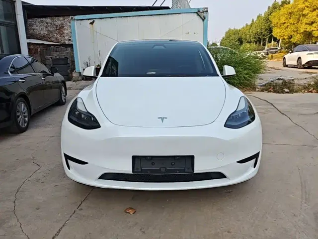 Tesla Model Y — Фото автомобиля 2