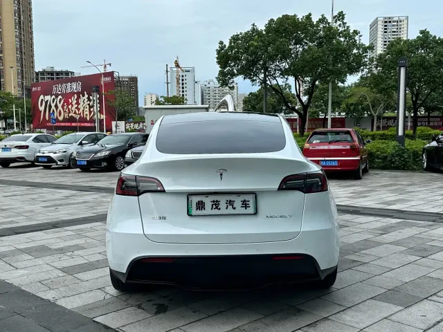 Tesla Model Y — Фото автомобиля 4
