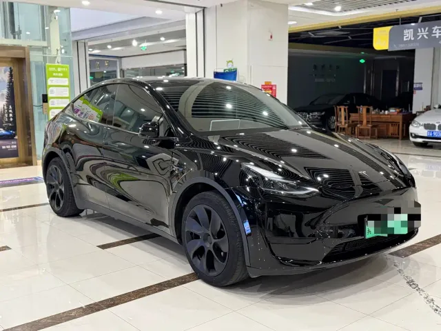 Tesla Model Y — Фото автомобиля 3