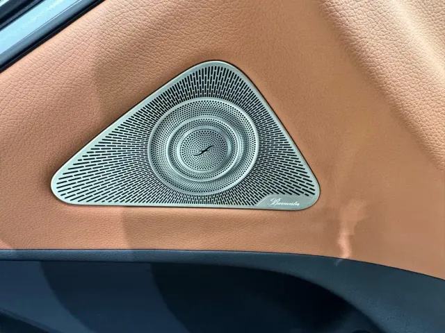 Mercedes-Benz S-Class — Фото автомобиля 18