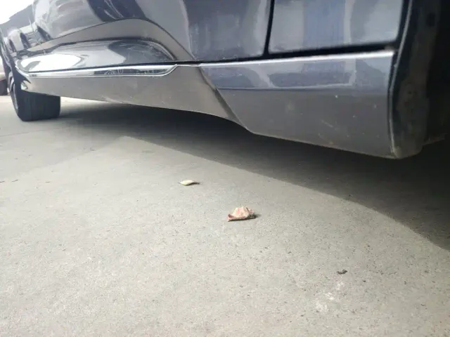 Honda Accord — Фото автомобиля 19