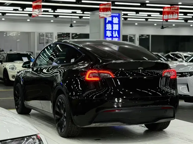 Tesla Model Y — Фото автомобиля 4