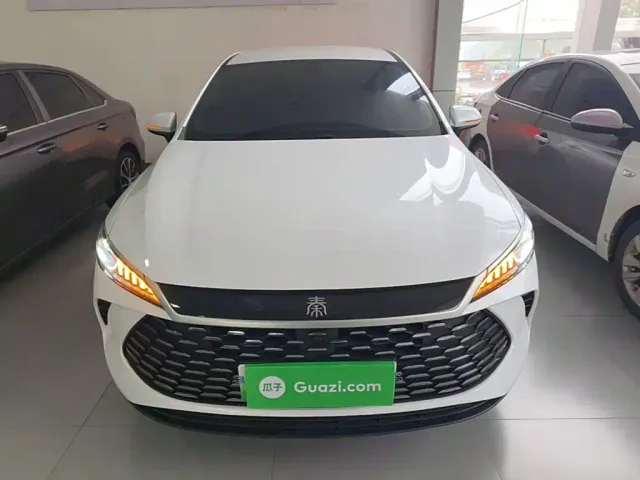 BYD Qin PLUS — Фото автомобиля 2