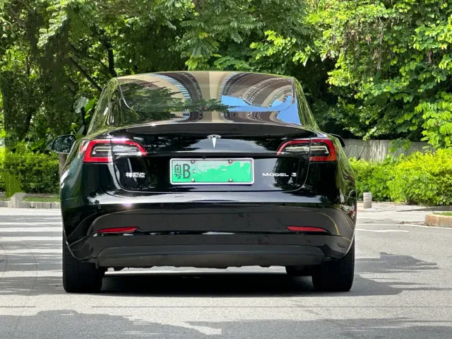 Tesla Model 3 — Фото автомобиля 4