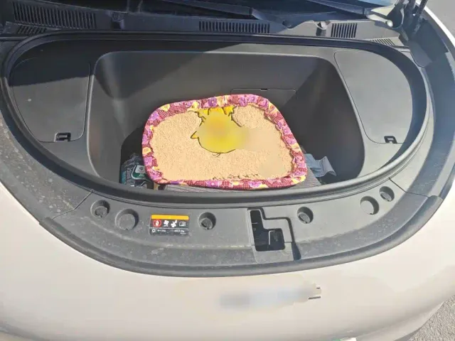 Geely Starry Wish — Фото автомобиля 21
