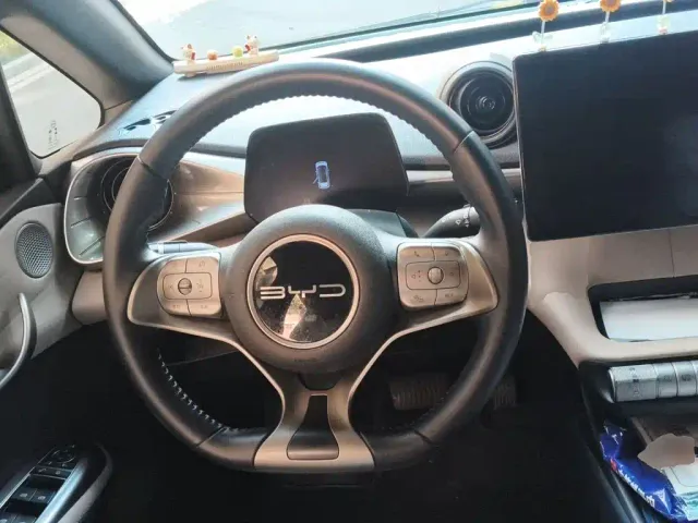 BYD Dolphin — Фото автомобиля 6