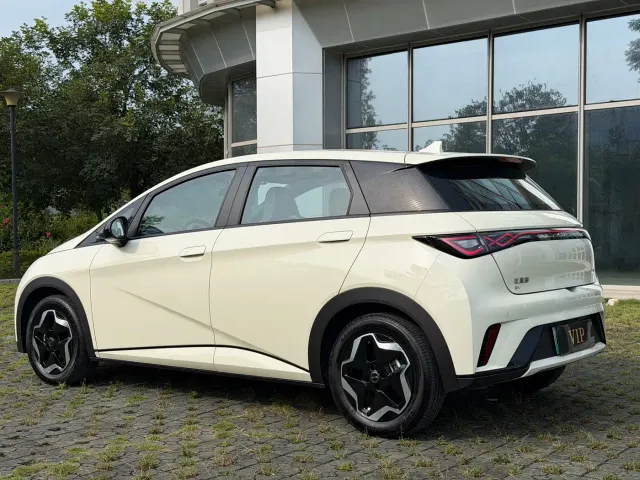 BYD Dolphin — Фото автомобиля 6