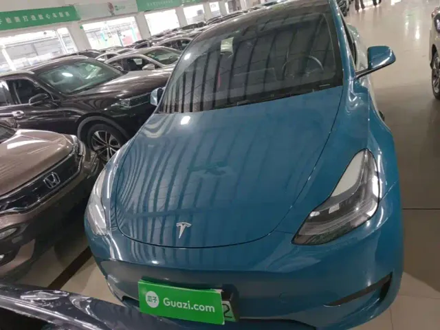 Tesla Model Y — Фото автомобиля 2