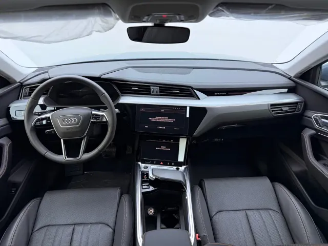 Audi e-tron — Фото автомобиля 13