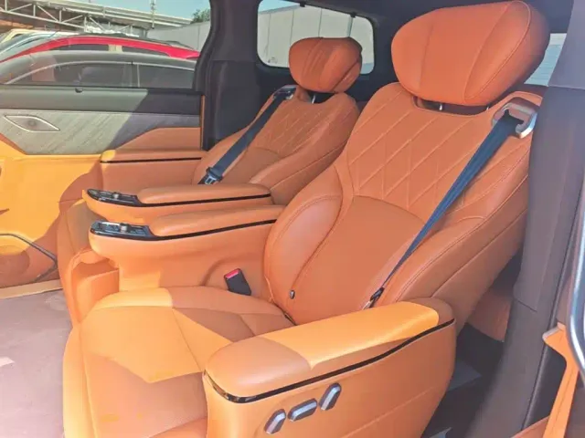 Wey Alpine — Фото автомобиля 16