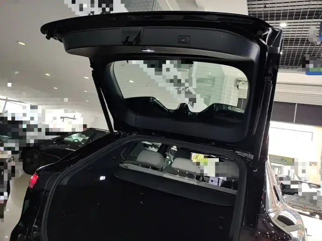 Voyah Auto Voyah Zhiyin 2024 Long Range Super Charging Edition — Фото автомобиля 18