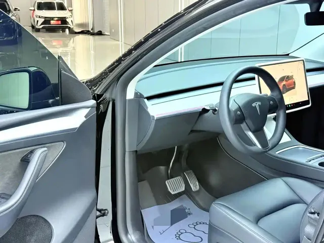 Tesla Model Y — Фото автомобиля 9