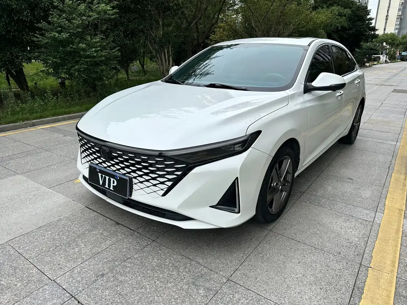 Changan Ruicheng PLUS 2023 1.5T DCT Luxury — Фото автомобиля 2