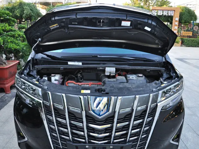 Toyota Alphard — Фото автомобиля 13