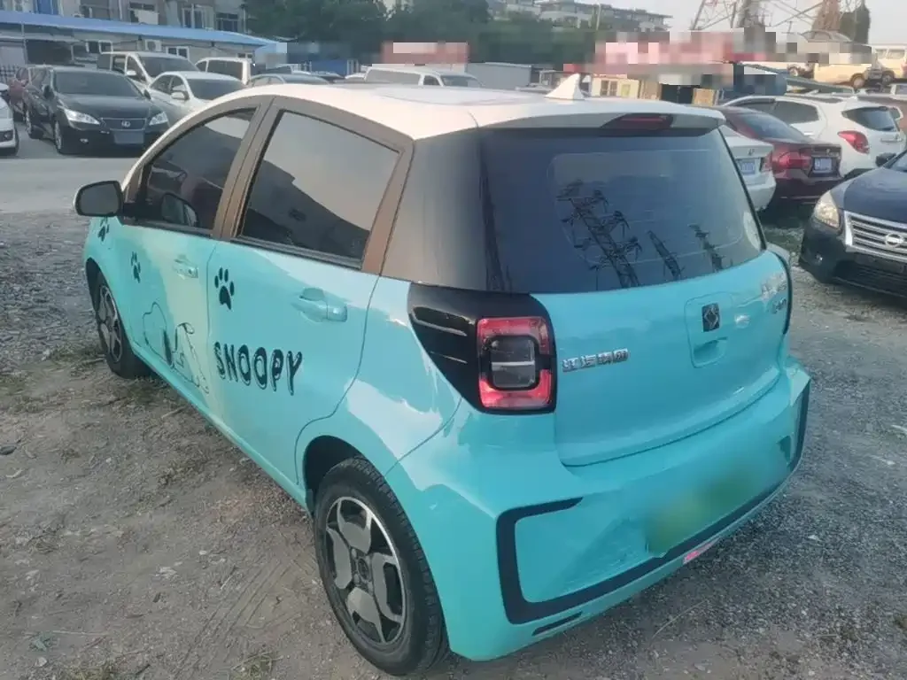 Sehol Flower Fairy 2021 Jimei Edition 302km Luxury — Фото автомобиля 22