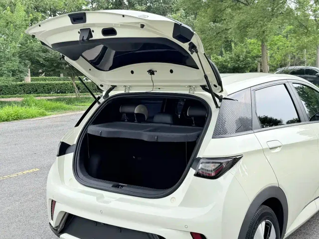 BYD Dolphin — Фото автомобиля 23