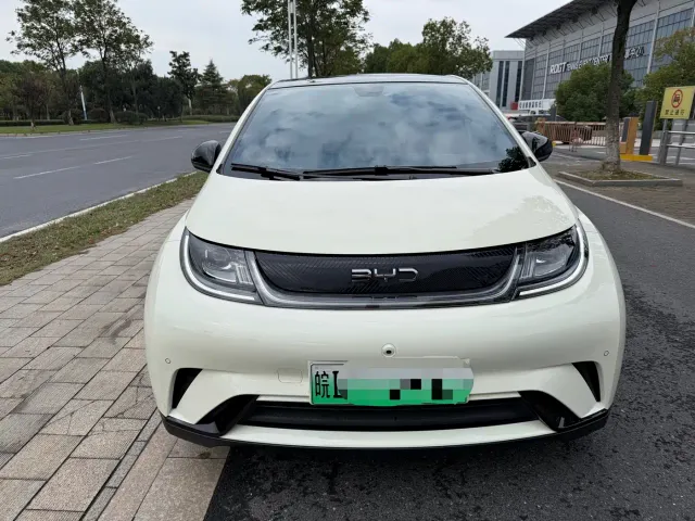 Фотография автомобиля — BYD Dolphin