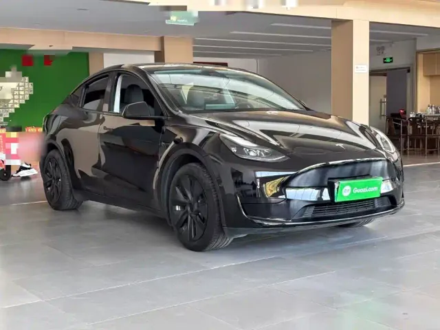 Tesla Model Y — Фото автомобиля 3