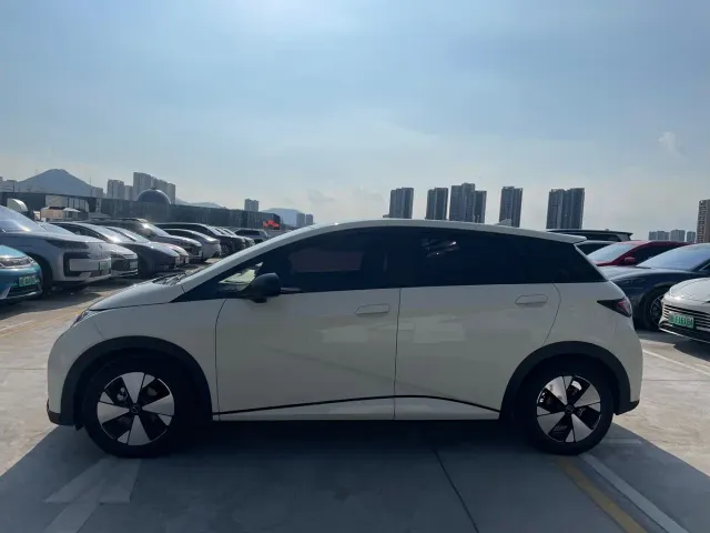 BYD Dolphin — Фото автомобиля 3