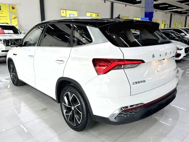 Skoda Kamiq — Фото автомобиля 10