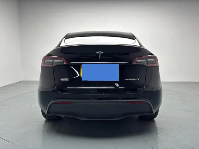 Tesla Model Y — Фото автомобиля 8