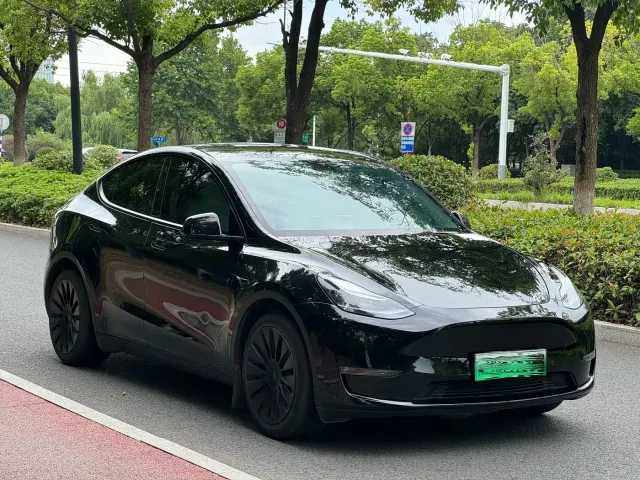 Tesla Model Y — Фото автомобиля 3