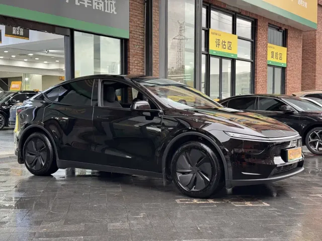 Tesla Model Y — Фото автомобиля 4
