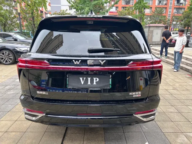 Wey Lanshan — Фото автомобиля 6