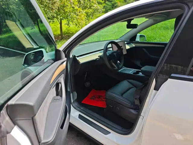 Tesla Model Y — Фото автомобиля 8